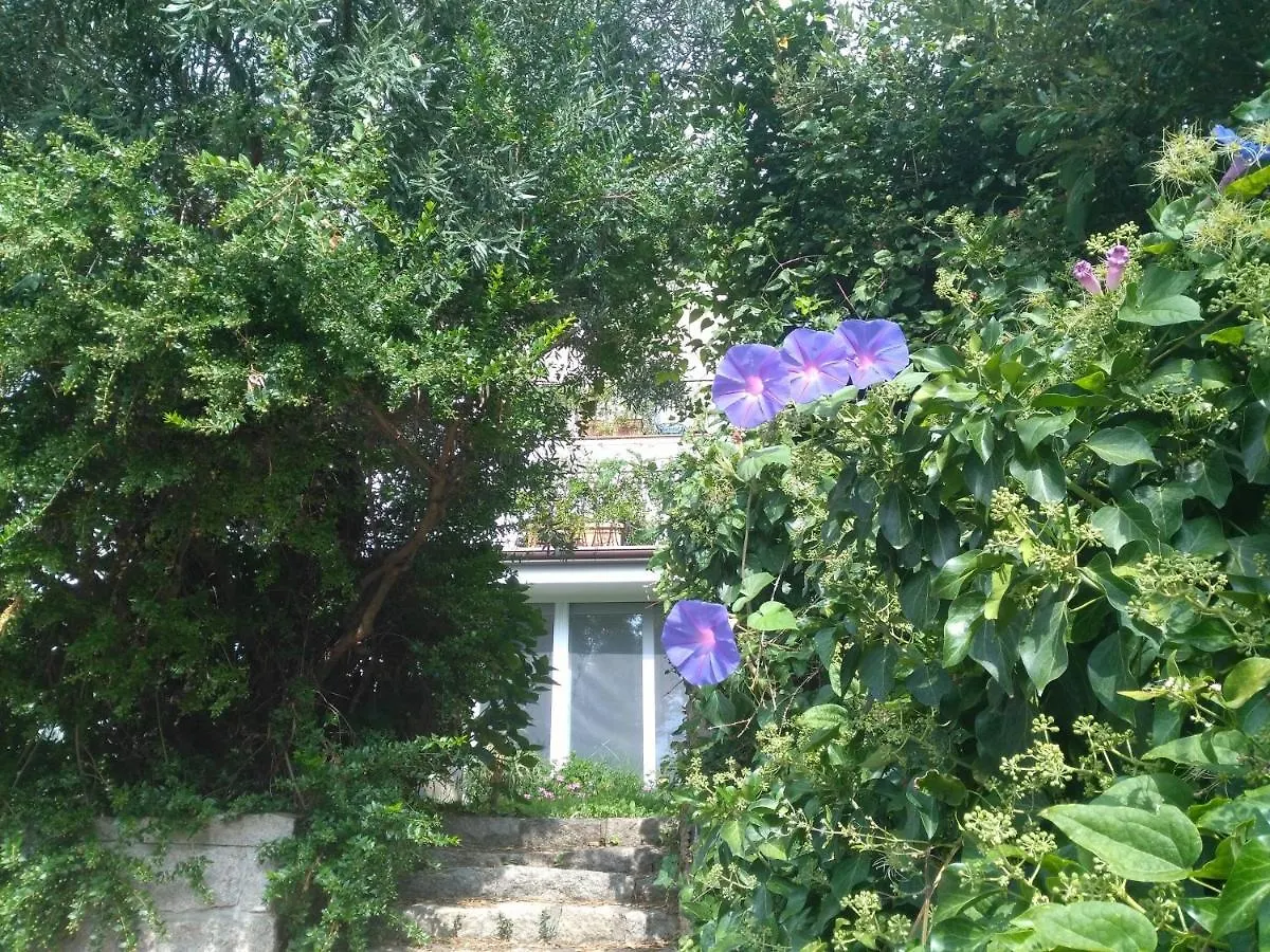 Guest house La Vignaredda - Residenza Di Charme